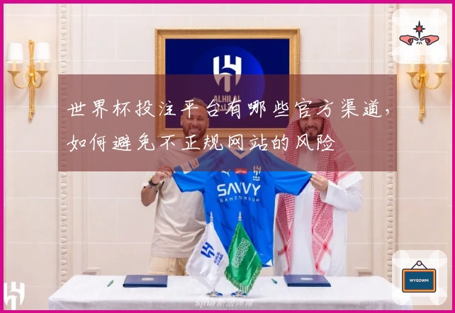 世界杯投注平台有哪些官方渠道，如何避免不正规网站的风险