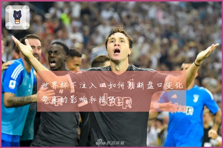 世界杯下注入口如何判断盘口变化带来的影响和技巧