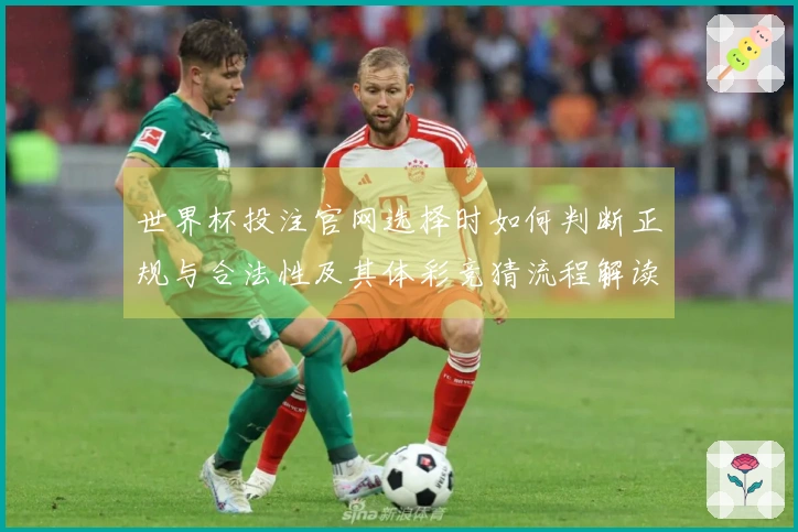 世界杯投注官网选择时如何判断正规与合法性及其体彩竞猜流程解读
