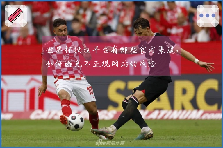 世界杯投注平台有哪些官方渠道，如何避免不正规网站的风险