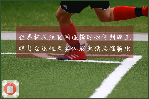 世界杯投注官网选择时如何判断正规与合法性及其体彩竞猜流程解读